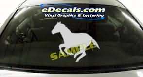 Horse Cartoon Decal CRT133