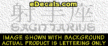 Japanese Chinese Asian Kanji Sagittarius w/Wording Decal KAN159