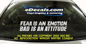 Fear Is An Emotion Bumper Sticker Decal BMP101