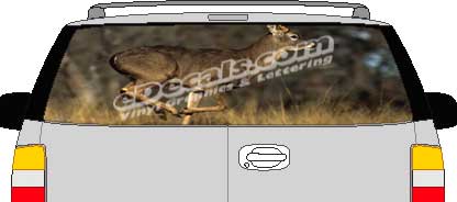 Brown Deer Vision Rear Window Mural Decal CLR135