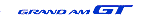 Pontiac Grand Am GT Decal DC07019