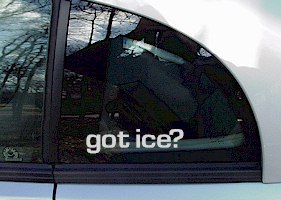 Got Ice? Decal IMR534