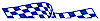 Checkered Flag Decal Graphics cfg209
