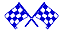 Checkered Flag Decal Graphics cfg284