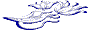 accent decal stickers