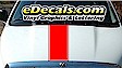 single racing stripes with pinstripe
