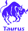 taurus bull