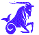capricorn