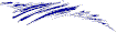 Custom Vinyl Accent Decal graphic Stickers