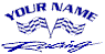 car decal stickers