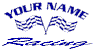 car decal stickers
