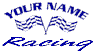 car decal stickers