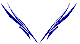 Custom Hood Car Accent Decal Graphic Stickers