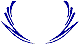 Custom Hood Car Accent Decal Graphic Stickers