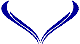 Custom Hood Car Accent Decal Graphic Stickers