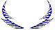 Custom Hood Car Accent Decal Graphic Stickers