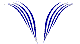 Custom Hood Car Accent Decal Graphic Stickers