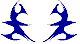 Custom Hood Car Accent Decal Graphic Stickers