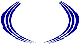 Custom Hood Car Accent Decal Graphic Stickers