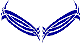 Custom Hood Car Accent Decal Graphic Stickers