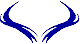 Custom Hood Car Accent Decal Graphic Stickers
