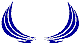 Custom Hood Car Accent Decal Graphic Stickers