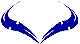 Custom Hood Car Accent Decal Graphic Stickers