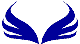 Custom Hood Car Accent Decal Graphic Stickers