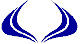 Custom Hood Car Accent Decal Graphic Stickers