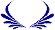 Custom Hood Car Accent Decal Graphic Stickers