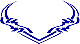 Custom Hood Car Accent Decal Graphic Stickers