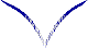 Custom Hood Car Accent Decal Graphic Stickers