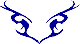 Custom Hood Car Accent Decal Graphic Stickers