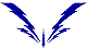 Custom Hood Car Accent Decal Graphic Stickers