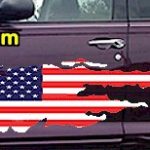 ACC917 USA Striped Accent Decal