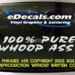 BMP109 Whoop Ass Bumper Sticker Decal