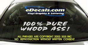 BMP109 Whoop Ass Bumper Sticker Decal