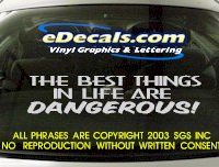  BMP124 The Best Things in Life Bumper Sticker Decal