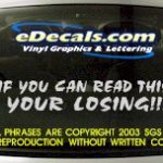 BMP128 Your Losing Bumper Sticker Decal