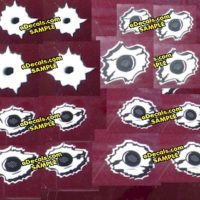 BUL109 Complete Pack 1 Bullet Hole Decals