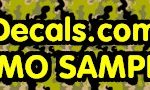 CAM102 Custom Printed Type II Camoflage Stripe