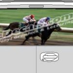 CLR102 Racehorses Vision Rear Window Mural Decal