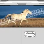 CLR106 White Horse Vision Rear Window Mural Decal