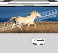 CLR106 White Horse Vision Rear Window Mural Decal