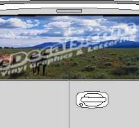 CLR108 Horses Vision Rear Window Mural Decal