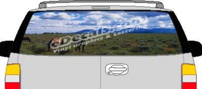 CLR108 Horses Vision Rear Window Mural Decal