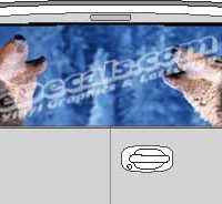 CLR132 Wolves Vision Rear Window Mural Decal