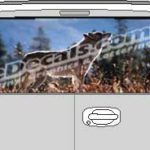 CLR133 Wolf I Vision Rear Window Mural Decal