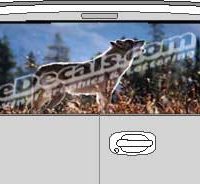 CLR133 Wolf I Vision Rear Window Mural Decal