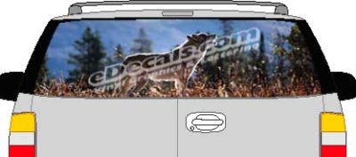 CLR133 Wolf I Vision Rear Window Mural Decal